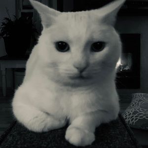 Meet your Posher, Renee-claude